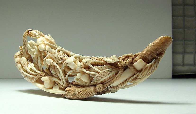 Blossoming Cherry Branch 004